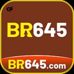 br645 br645 Profile Picture