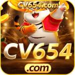 cv654 cv654 Profile Picture