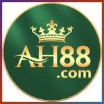 ah88 ah88 Profile Picture