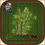 bamboospg bamboospg Profile Picture