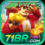 71br 71br Profile Picture