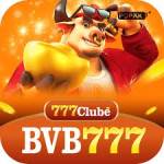 bvb777 bvb777 Profile Picture