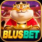 blusbet blusbet Profile Picture