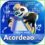acordeaopg acordeaopg Profile Picture