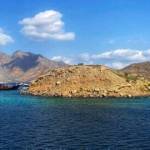 Dhow Tours Profile Picture