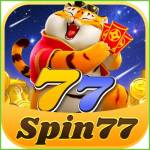 spin77 spin77 Profile Picture